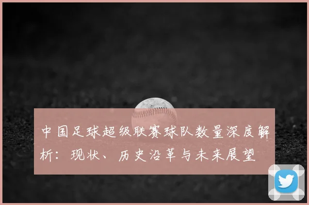 中国足球超级联赛球队数量深度解析:现状、历史沿革与未来展望