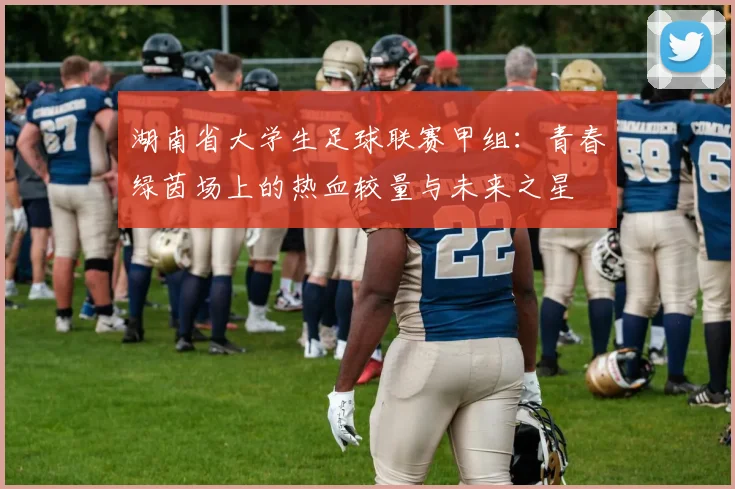 湖南省大学生足球联赛甲组:青春绿茵场上的热血较量与未来之星