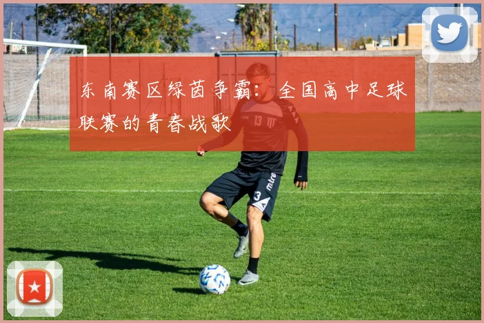 东南赛区绿茵争霸:全国高中足球联赛的青春战歌